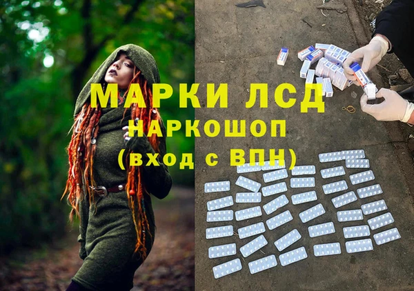 ПСИЛОЦИБИНОВЫЕ ГРИБЫ Бронницы
