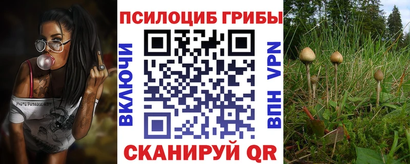 Псилоцибиновые грибы мухоморы  продажа наркотиков  Горняк 